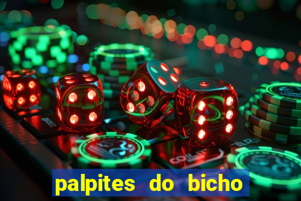 palpites do bicho no celular