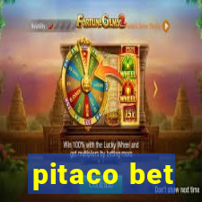 pitaco bet