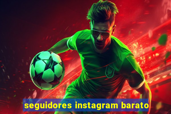 seguidores instagram barato