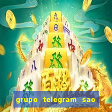 grupo telegram sao jose do rio preto