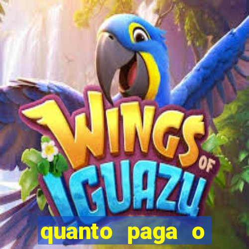 quanto paga o jungle fight