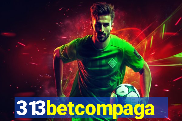 313betcompaga