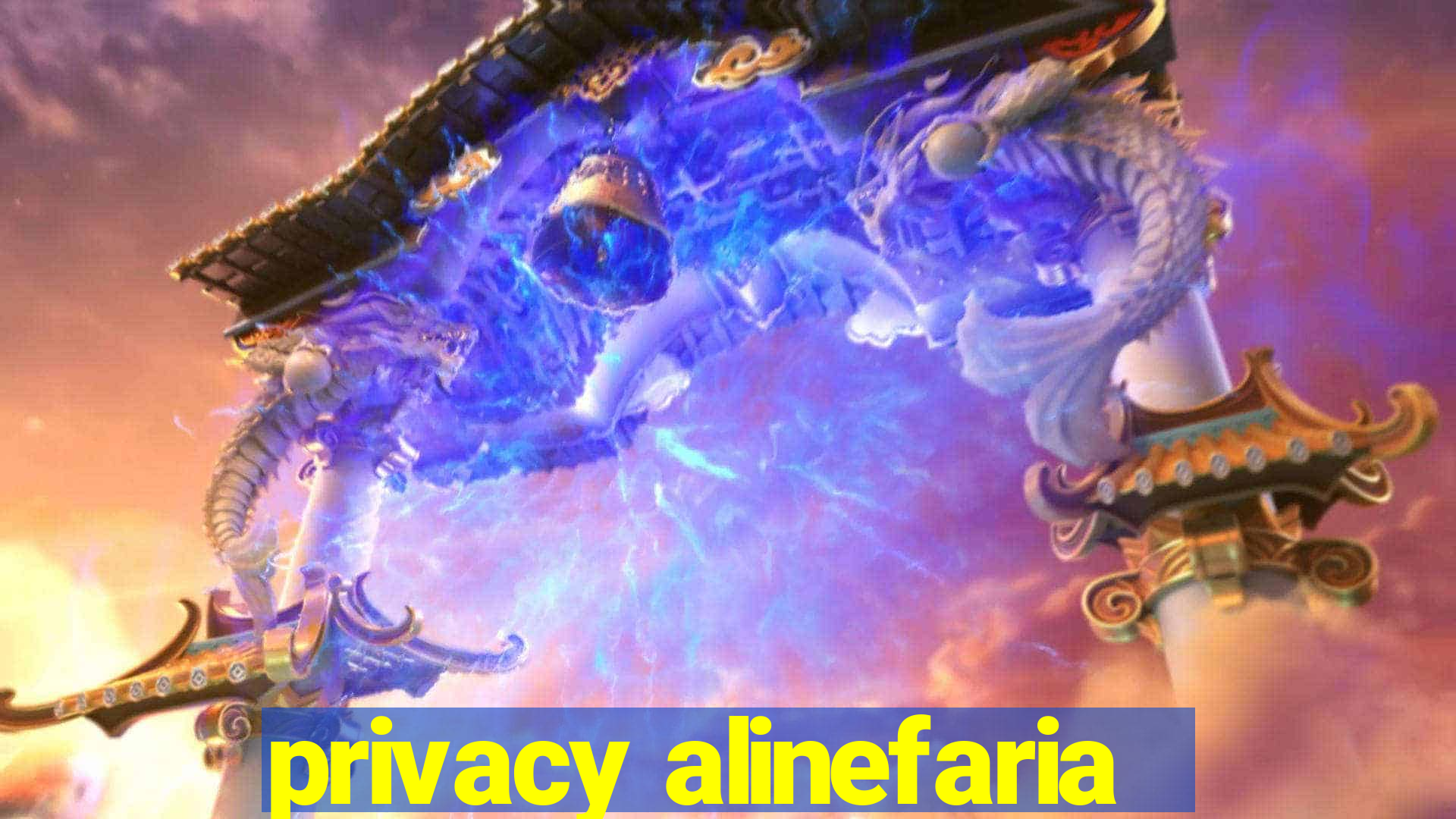 privacy alinefaria